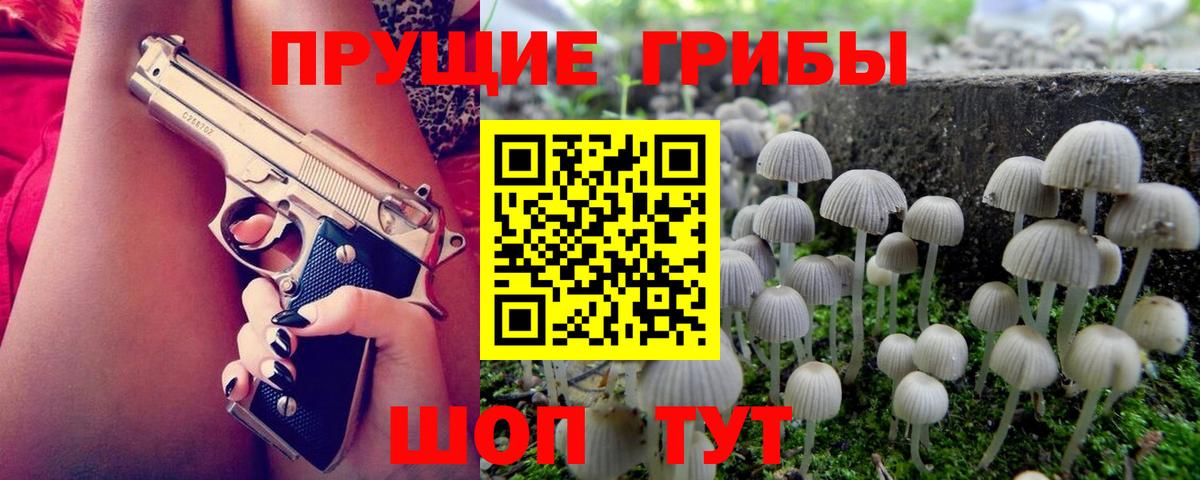 продажа наркотиков  Псилоцибиновые грибы Psilocybe  Вход с VPN  Псилоцибиновые грибы Magic Shrooms  Аргун 